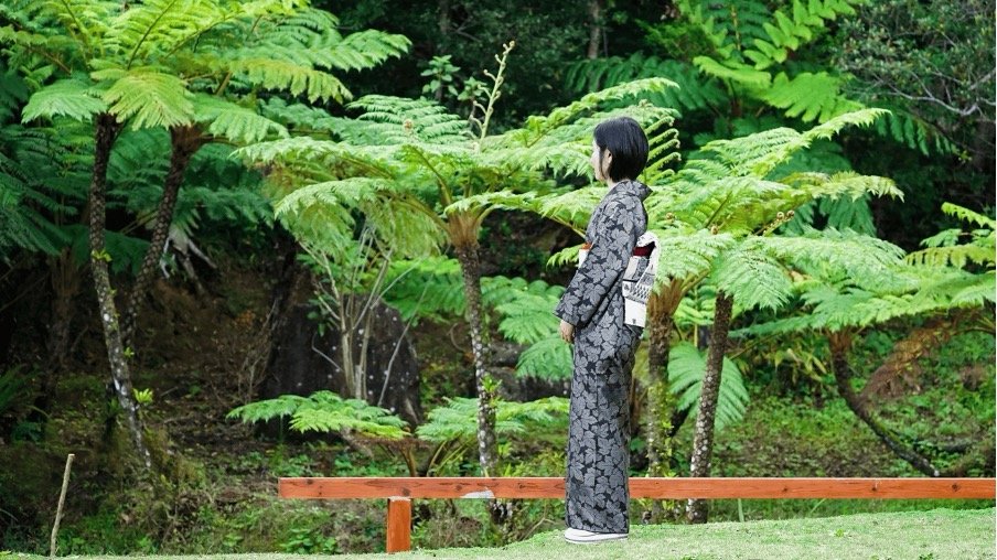 the lady with kimono watching at garden